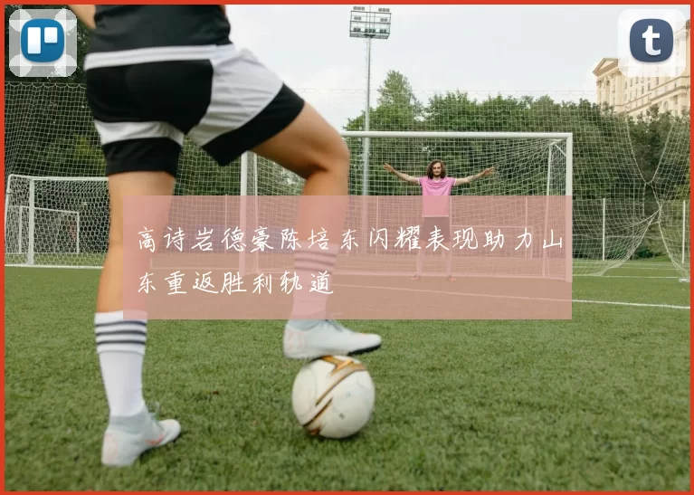 高诗岩德豪陈培东闪耀表现助力山东重返胜利轨道