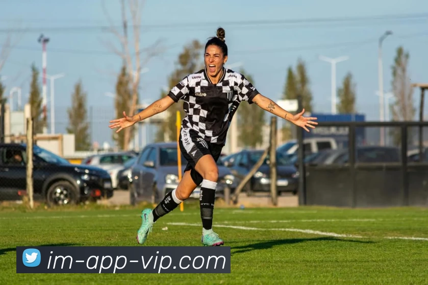 IM体育品牌故事