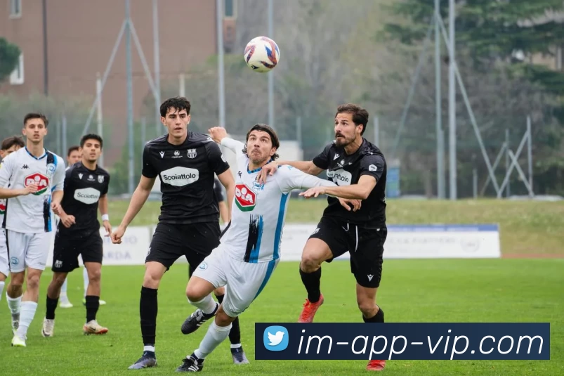 IM体育服务体系